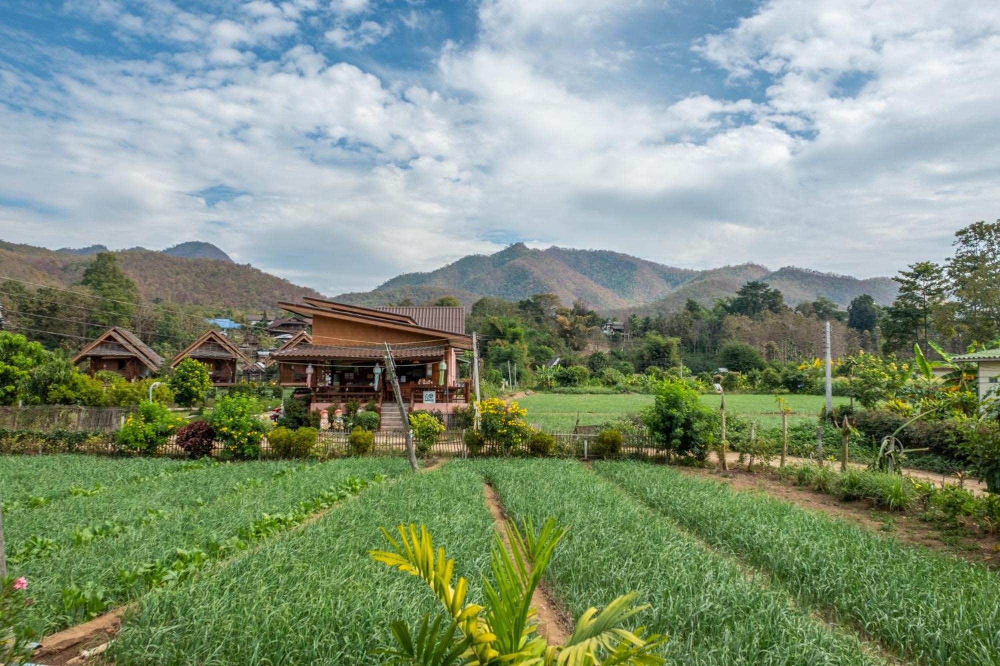 Hotel The Nest House à Pai Extérieur photo