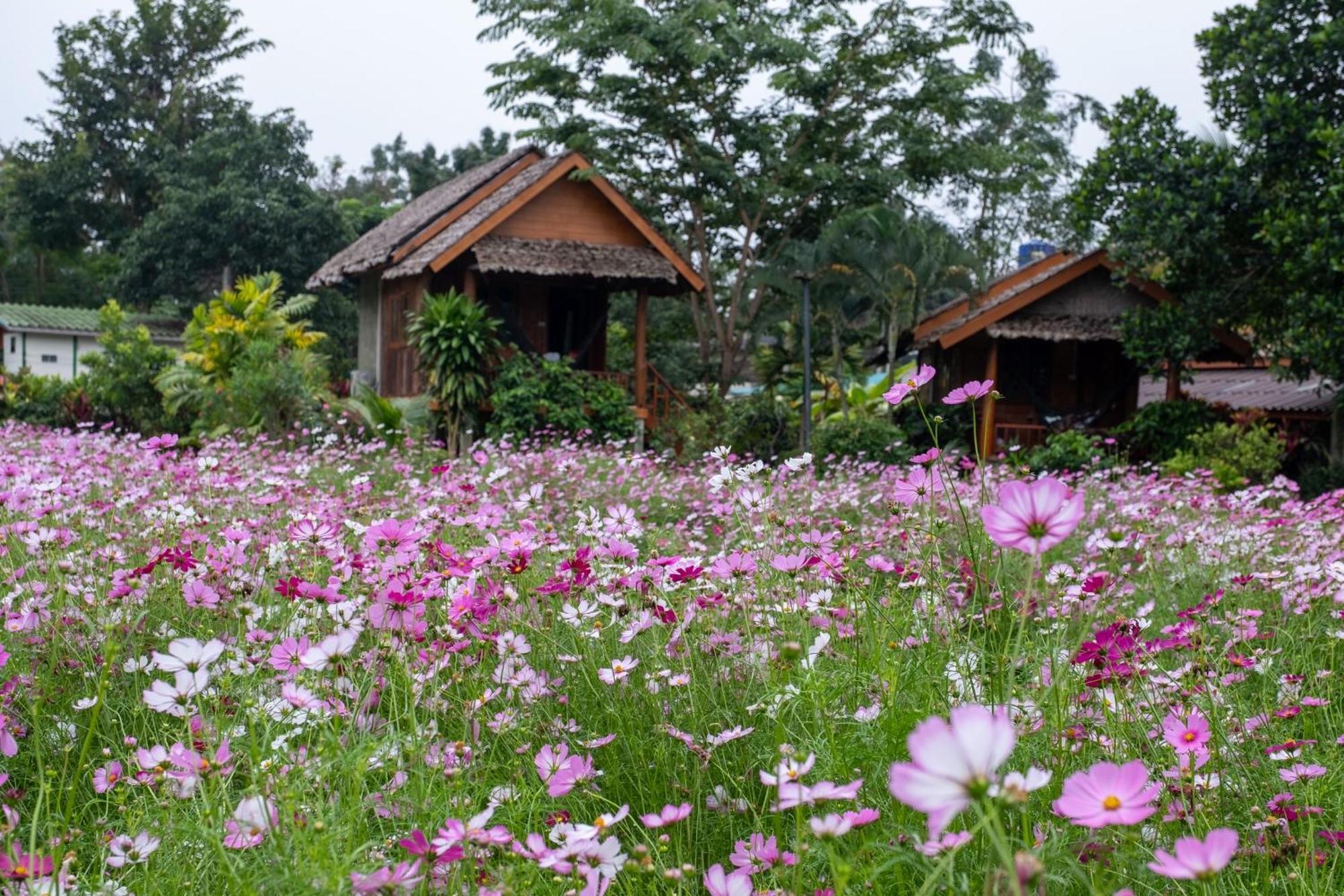 Hotel The Nest House à Pai Extérieur photo