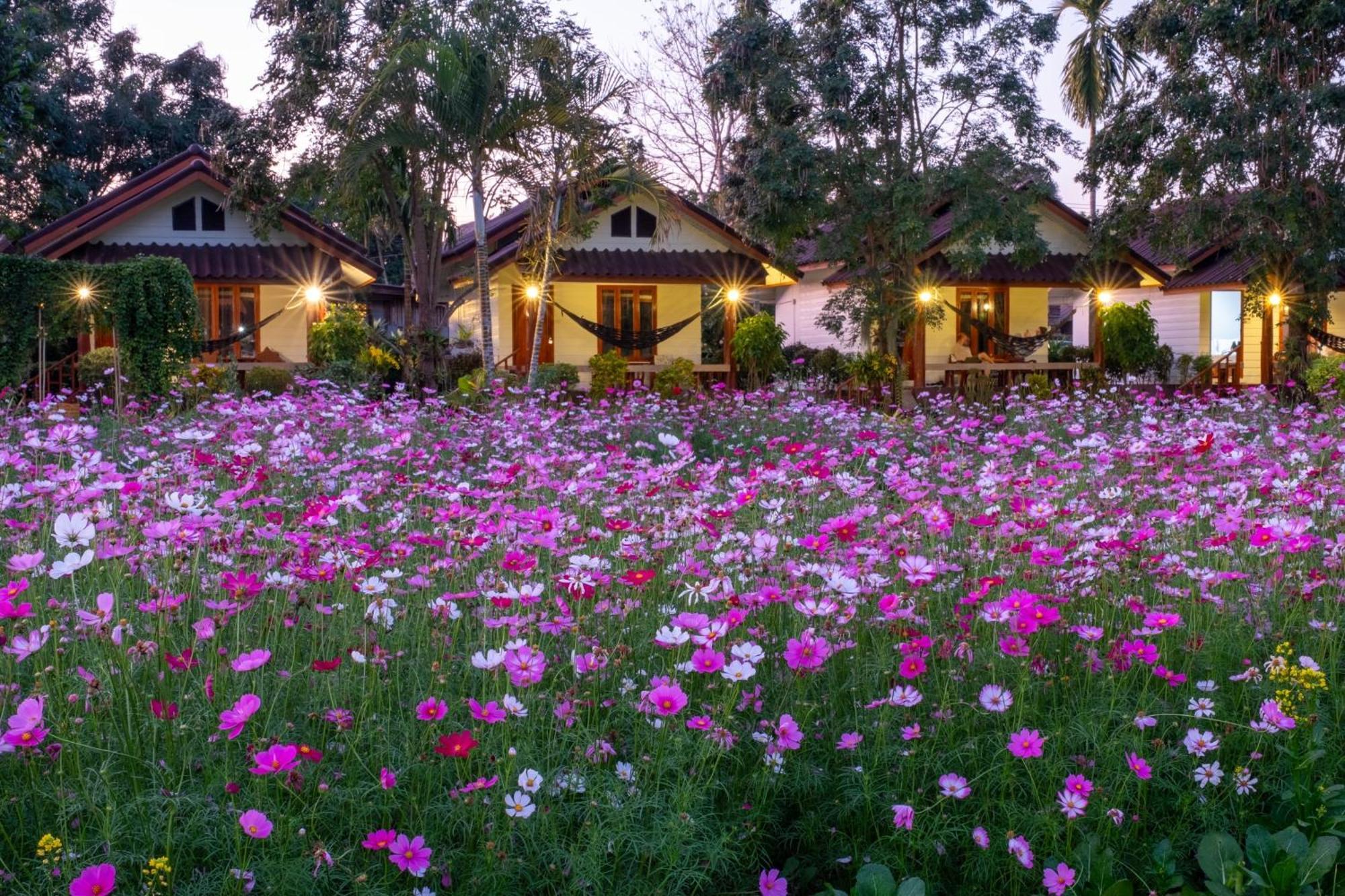 Hotel The Nest House à Pai Extérieur photo
