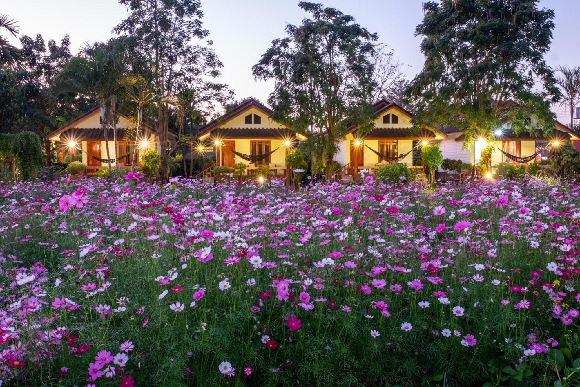 Hotel The Nest House à Pai Extérieur photo