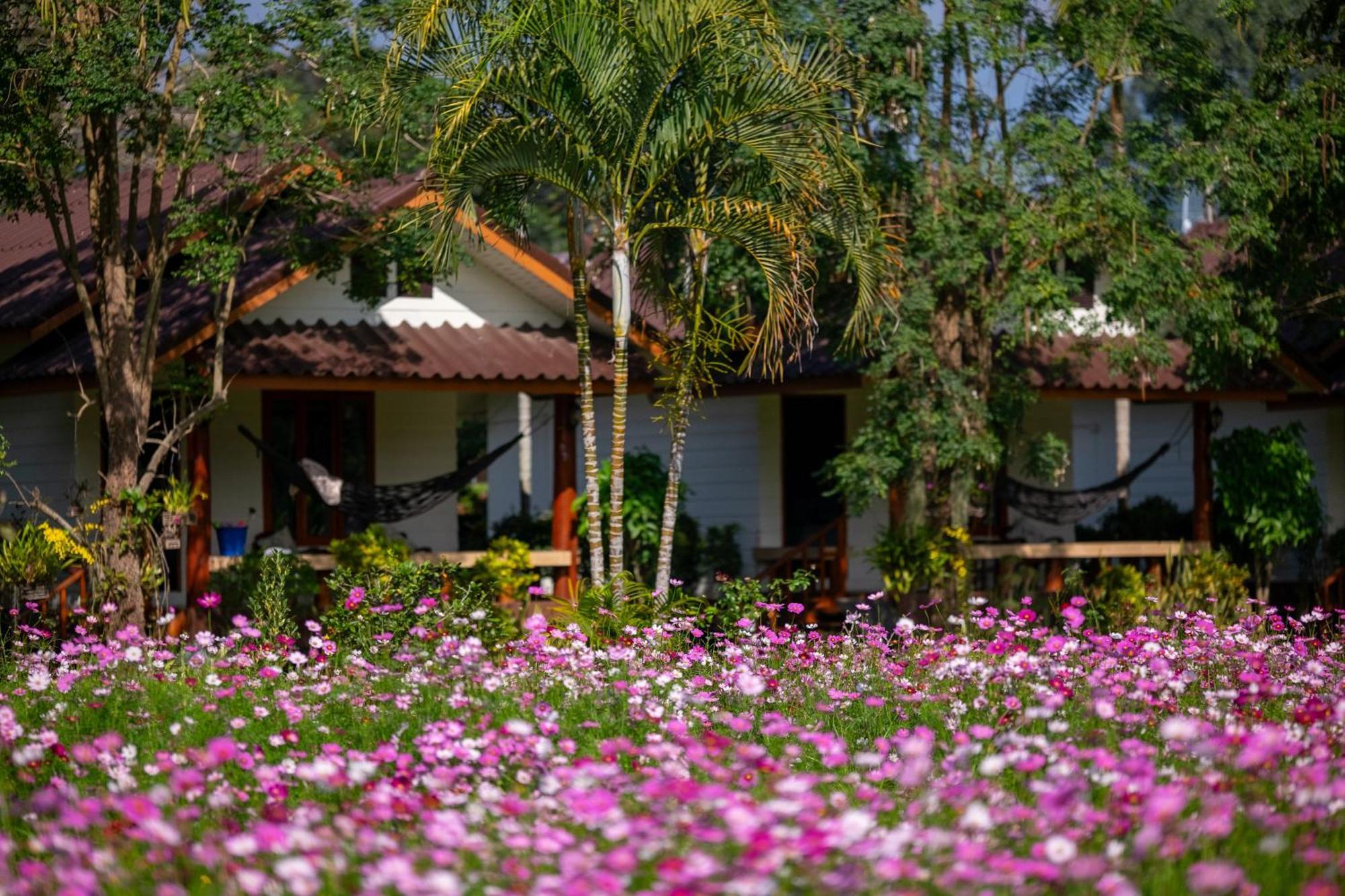 Hotel The Nest House à Pai Extérieur photo