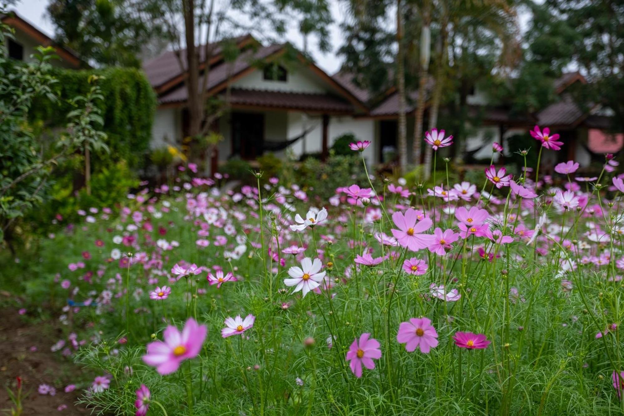 Hotel The Nest House à Pai Extérieur photo