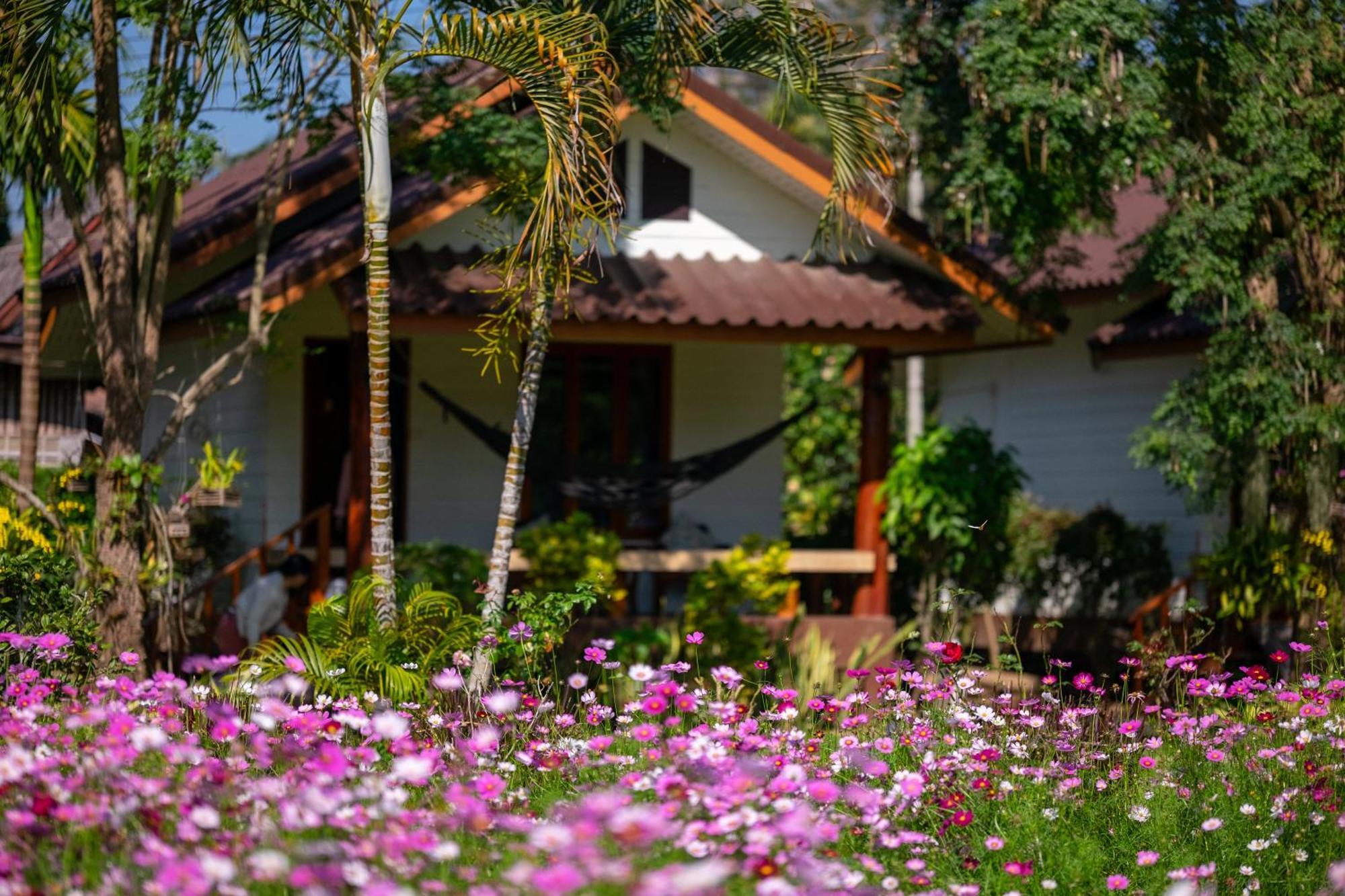 Hotel The Nest House à Pai Extérieur photo