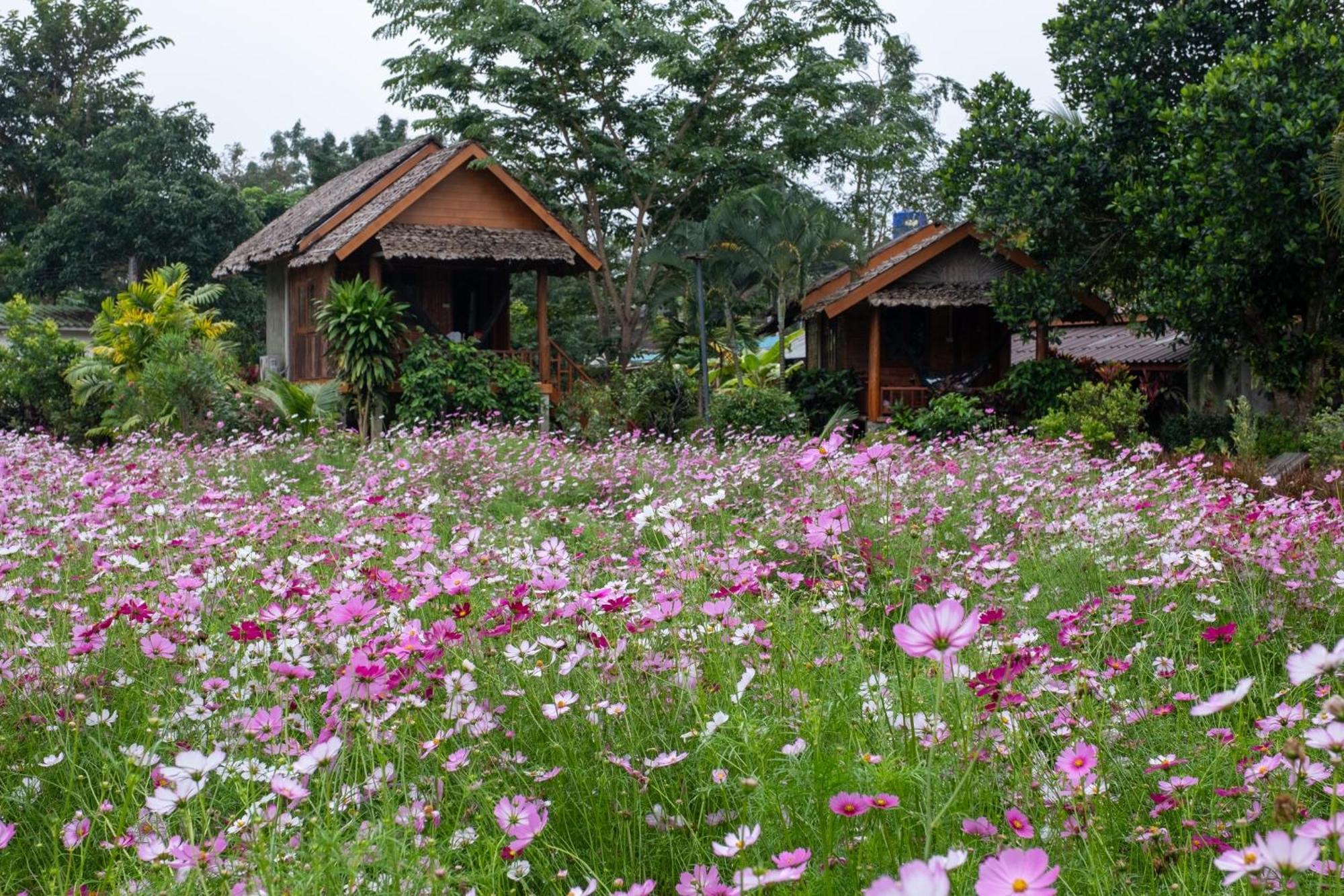 Hotel The Nest House à Pai Extérieur photo